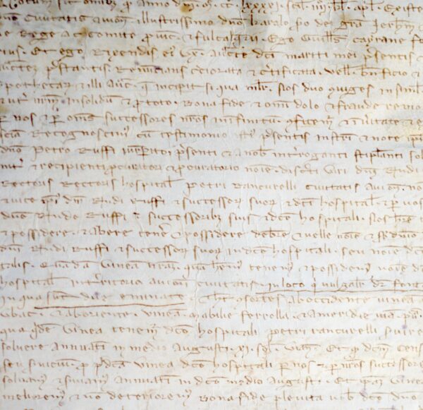 Belle charte du XIIIe pour l'acensement d'une vigne à Avignon.