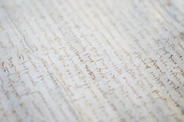 Belle charte du XIIIe pour l'acensement d'une vigne à Avignon.