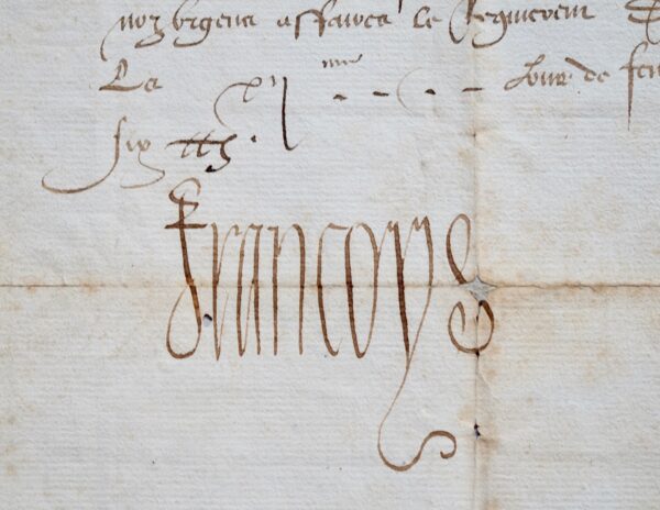 François 1er met à contribution le Dauphiné pour les guerres d’Italie