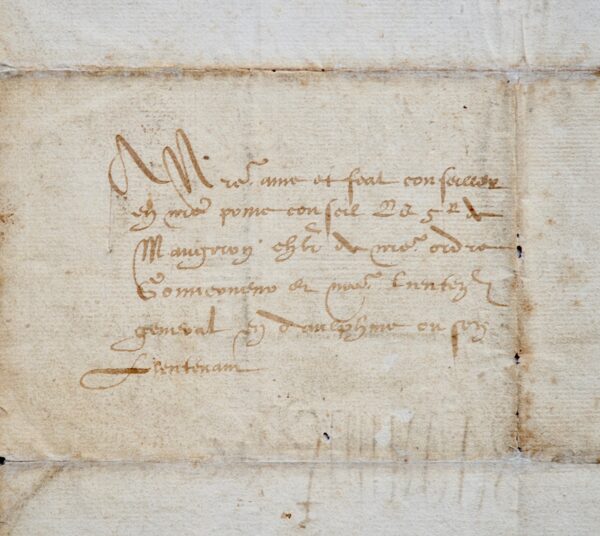 François 1er met à contribution le Dauphiné pour les guerres d’Italie