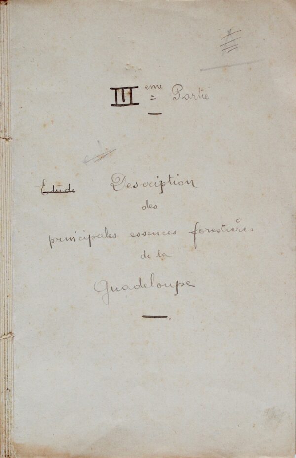 Manuscrit contenant la description des principales essences forestières de la Guadeloupe