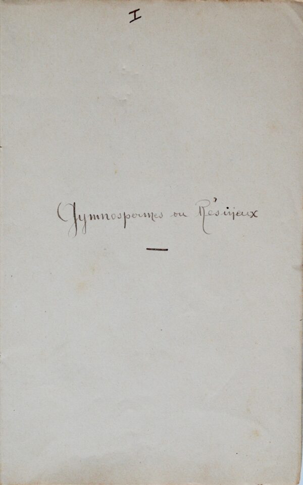 Manuscrit contenant la description des principales essences forestières de la Guadeloupe