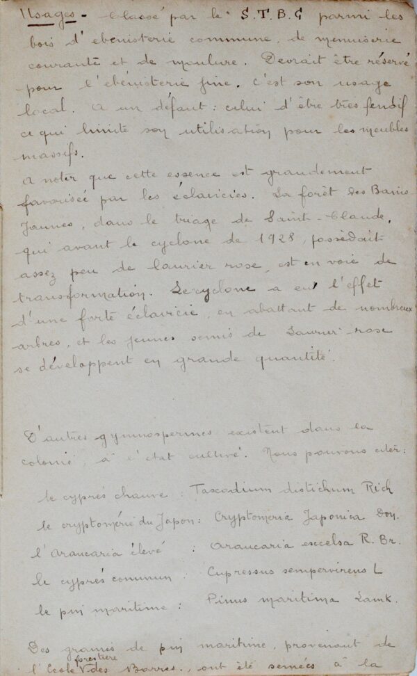 Manuscrit contenant la description des principales essences forestières de la Guadeloupe