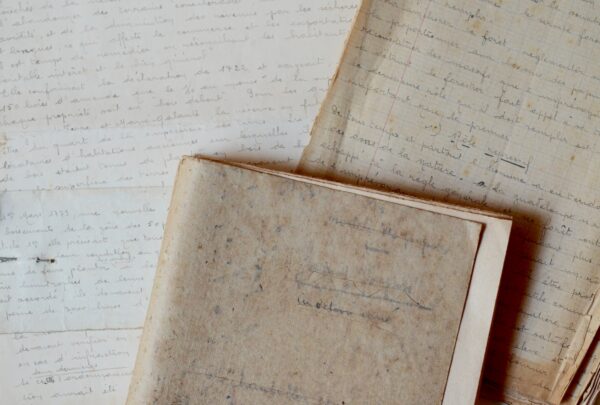 Manuscrit contenant la description des principales essences forestières de la Guadeloupe