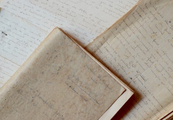 Manuscrit contenant la description des principales essences forestières de la Guadeloupe