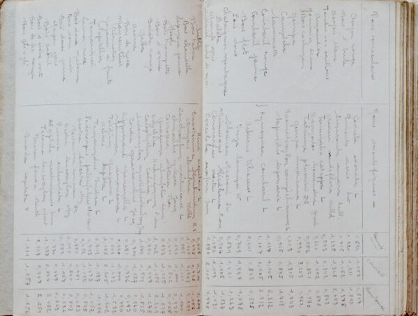 Manuscrit contenant la description des principales essences forestières de la Guadeloupe