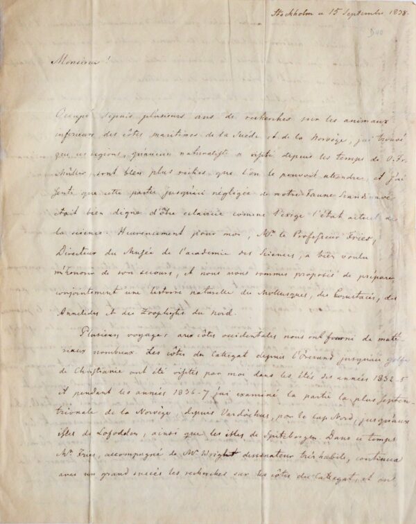 De la faune marine de Norvège et de Suède, par Lovén