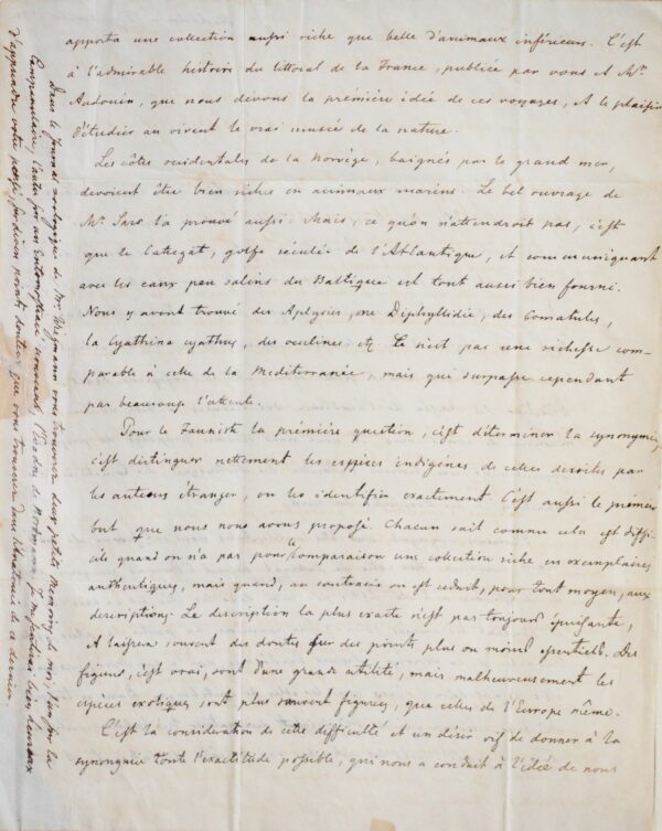 De la faune marine de Norvège et de Suède, par Lovén