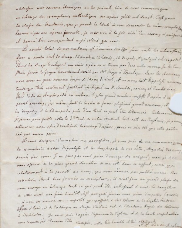 De la faune marine de Norvège et de Suède, par Lovén