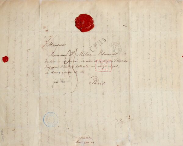 De la faune marine de Norvège et de Suède, par Lovén