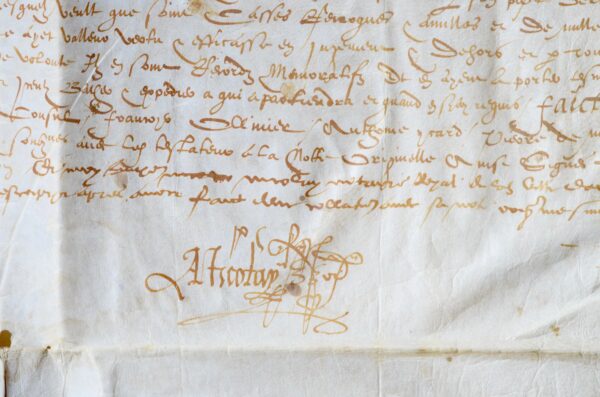 Testament sur parchemin de Pierre de Louet de Murat