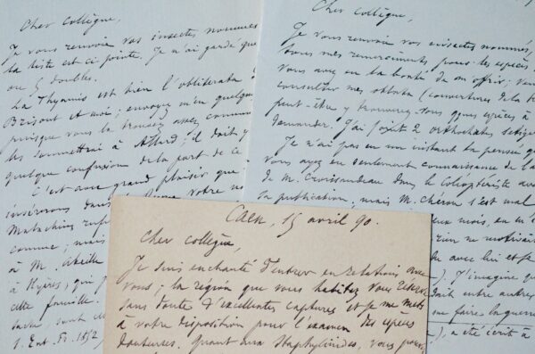 Fauvel et son travail d'entomologiste