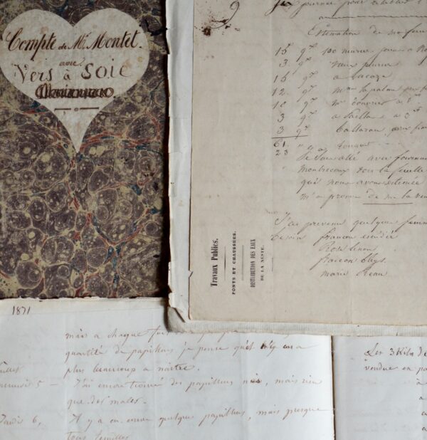 De l'élevage des vers à soie, au XIXème siècle