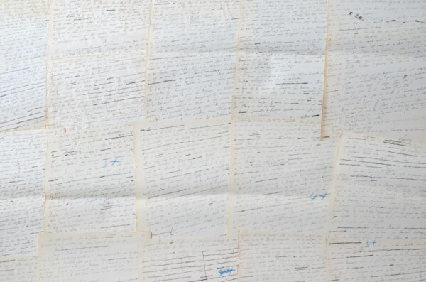 Chapitre de la Vie de Jeanne d'Arc d'Anatole France