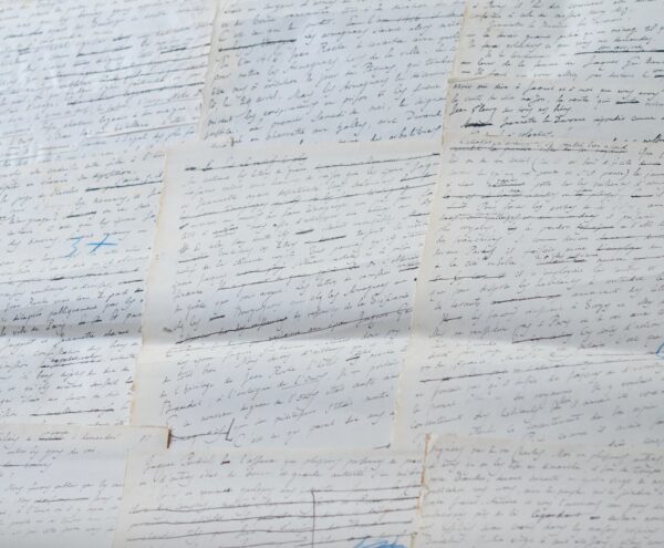 Chapitre de la Vie de Jeanne d'Arc d'Anatole France