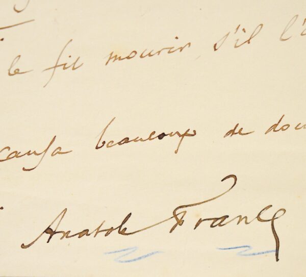 Chapitre de la Vie de Jeanne d'Arc d'Anatole France