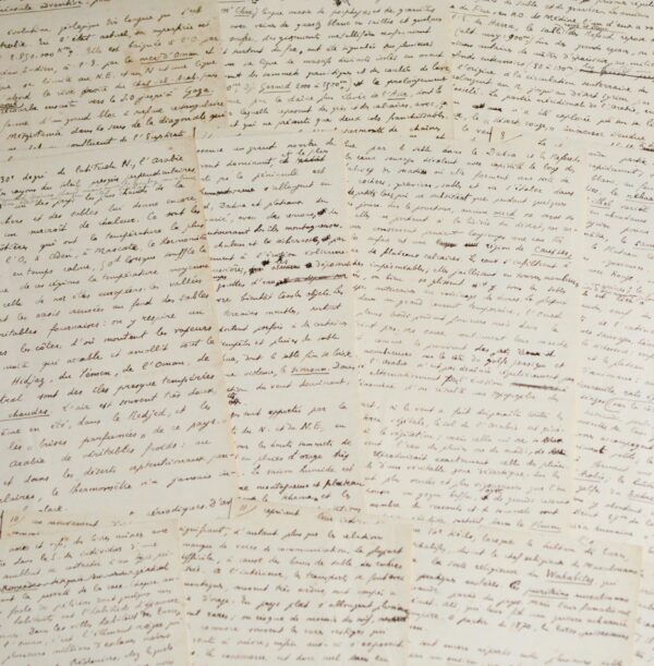 "Arabie" : manuscrit signé d'Amédée Thalamas