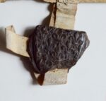 Charte médiévale poitevine avec beau sceau fleurdelisé