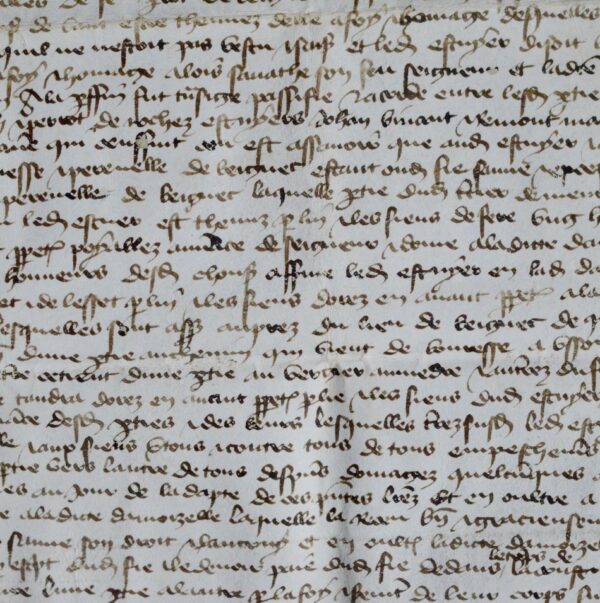 Très belle charte médiévale ornée de deux sceaux bien conservés