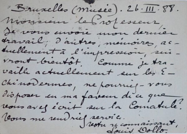 Le paléontologue belge Dollo travaille sur les Echinodermes (étoiles de mer)