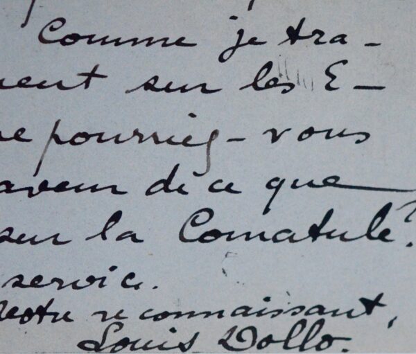 Le paléontologue belge Dollo travaille sur les Echinodermes (étoiles de mer)