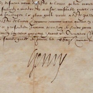 1594 : Henri IV convoque l'assemblée des États de Foix après la peste