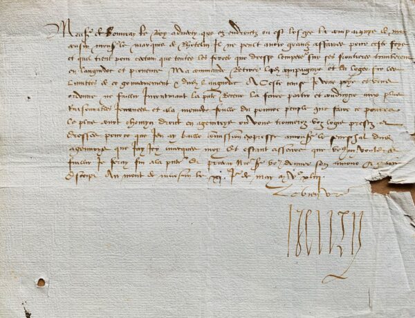 Rare lettre du roi de Navarre Henri II d'Albret, rassemblant ses forces face aux troupes de Charles Quint