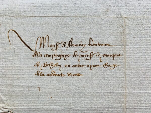 Rare lettre du roi de Navarre Henri II d'Albret, rassemblant ses forces face aux troupes de Charles Quint