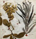 Splendide herbier de 1746 en très bel état de conservation