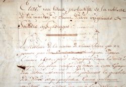 4 manuscrits du XVIIIe sur la noblesse de la famille Saint-Pierre, en Gascogne.