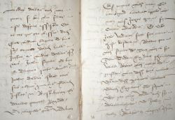 Important manuscrit du XVIe sur les seigneuries de Sepmes et Fresnay, en Touraine.