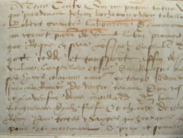 Eure-et-Loire. Vente d'une pièce de terre à Saint-Lubin-de-la-Haye.