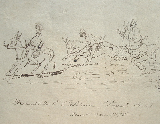 Dessins de Fayal aux Açores.