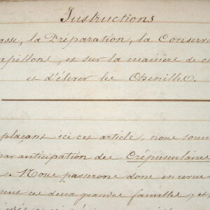 Important manuscrit de 1845 sur les papillons.
