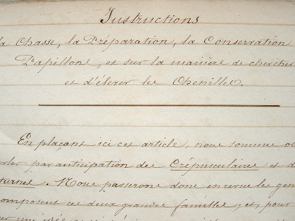 Important manuscrit de 1845 sur les papillons.