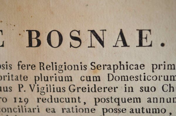 Grand tableau chronologique des vicaires de l'Eglise de Bosnie.