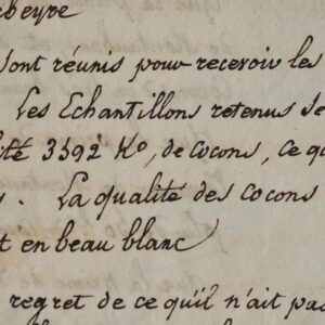Un concours de cocons de vers à soie à Montauban.