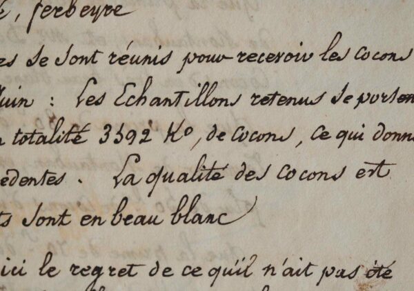 Un concours de cocons de vers à soie à Montauban.
