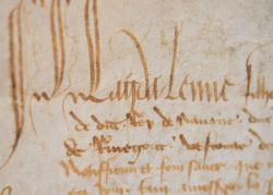 Madeleine de France nomme un chambellan du roi de Navarre.