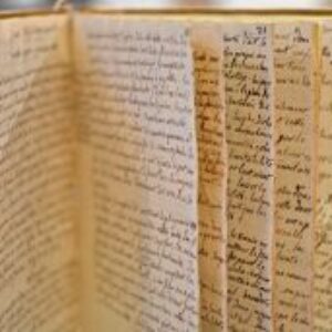 Manuscrit de classification botanique du tout début du XIXe.