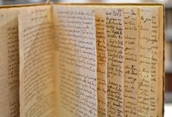 Manuscrit de classification botanique du tout début du XIXe.